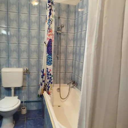 Victoriei ホームステイ ブカレスト