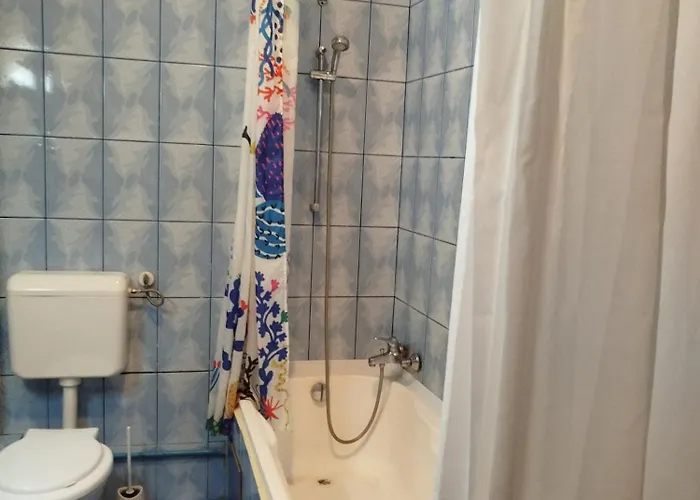 Victoriei Homestay szállás Bukarest