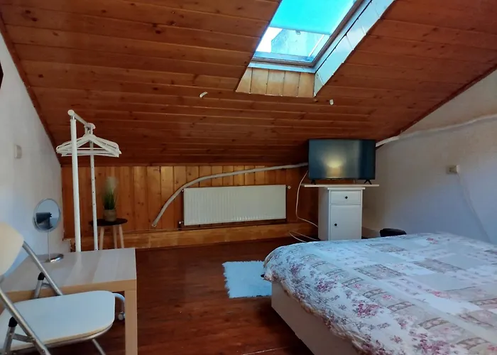 Homestay szállás Victoriei