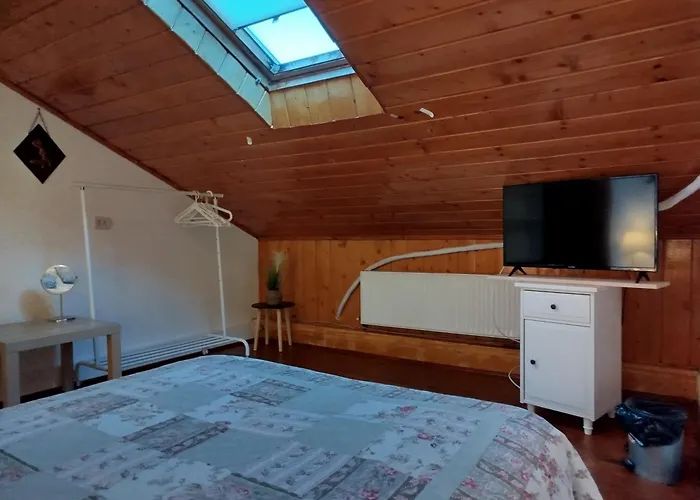 Victoriei Homestay szállás Bukarest